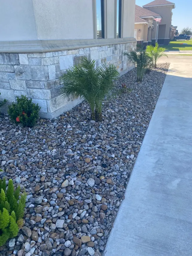 Customer photo from m's review