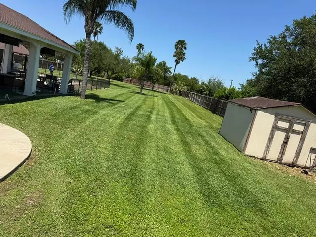 DLT Lawncare — photo from the business 8