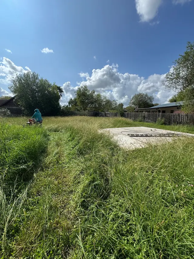 DLT Lawncare — photo from the business 10