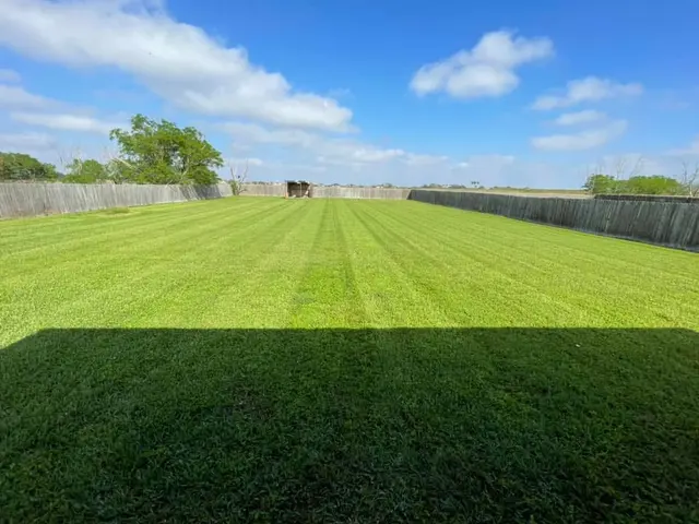 DLT Lawncare — photo from the business 9
