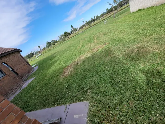 Edward American Lawn Services LLC — photo from the business 12