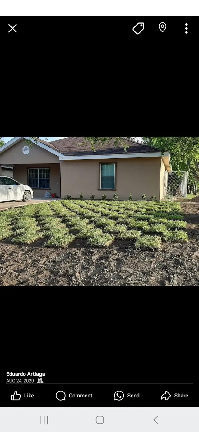 Edward American Lawn Services LLC — photo from the business 2