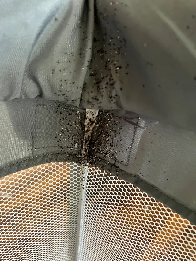 Go2-Pros Pest Control — customer photo 4
