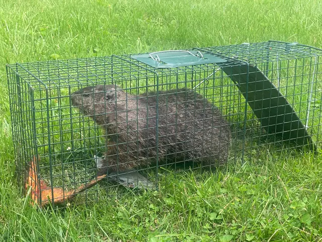 Go2-Pros Pest Control — customer photo 1