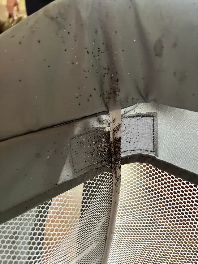 Go2-Pros Pest Control — customer photo 2