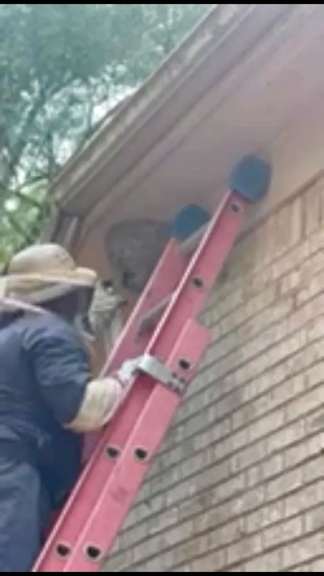 Brown Pest Control Inc — photo from the business 10