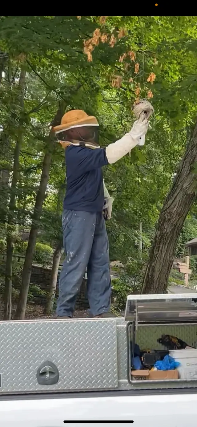 Brown Pest Control Inc — photo from the business 7
