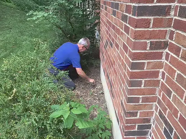 EcoPro Termite & Pest, LLC — photo from the business 11
