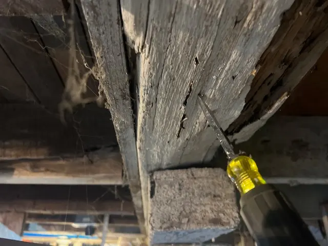 EcoPro Termite & Pest, LLC — photo from the business 3