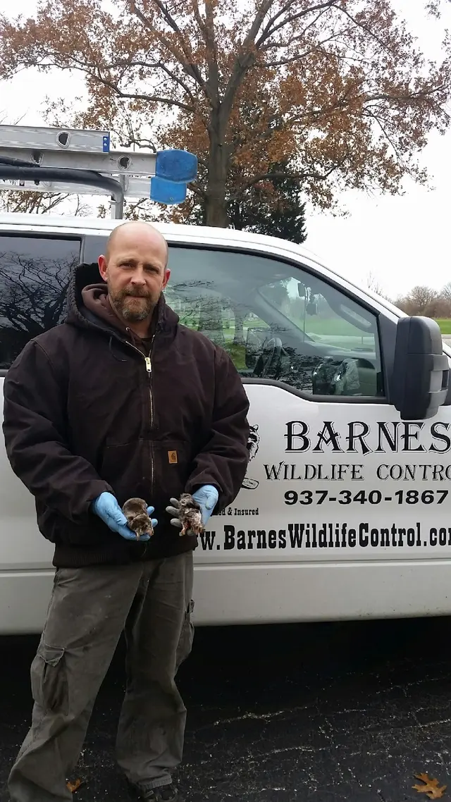 Barnes Wildlife Control — photo from the business 12