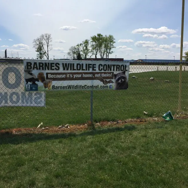 Barnes Wildlife Control — photo from the business 8