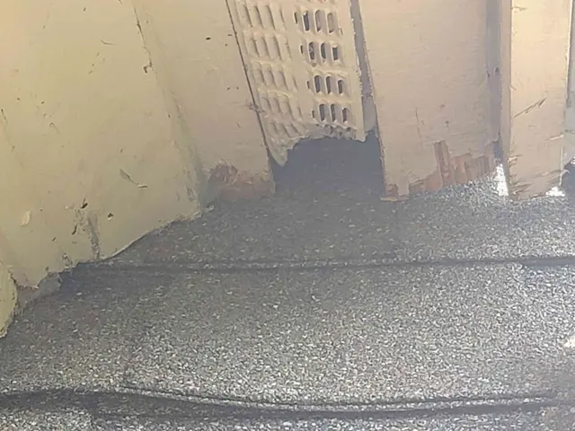 Barnes Wildlife Control — photo from the business 10