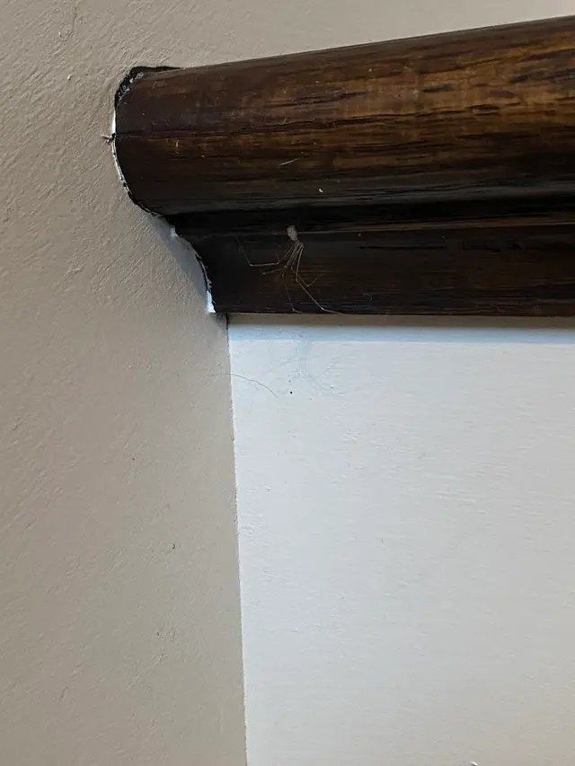 Customer photo from Brent's review