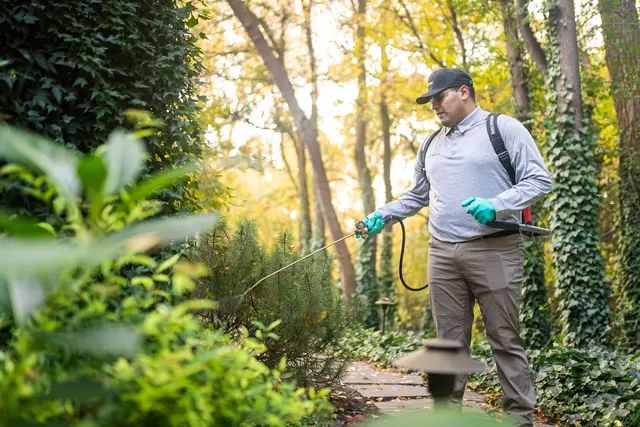 Greenix Pest Control — photo from the business 4