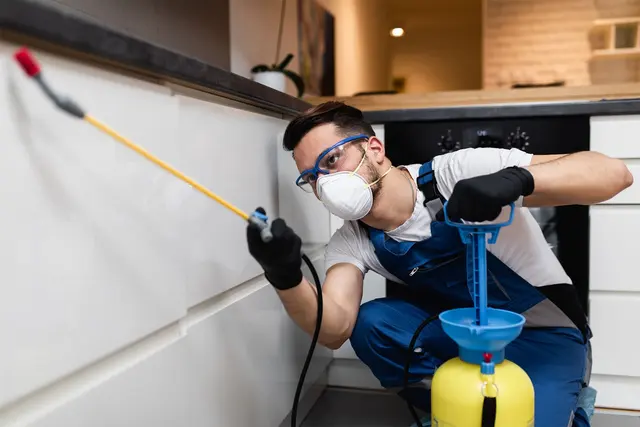Dean's Pest Control — photo from the business 2