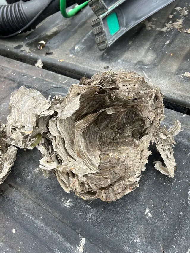 Rich's Pest Control — customer photo 5