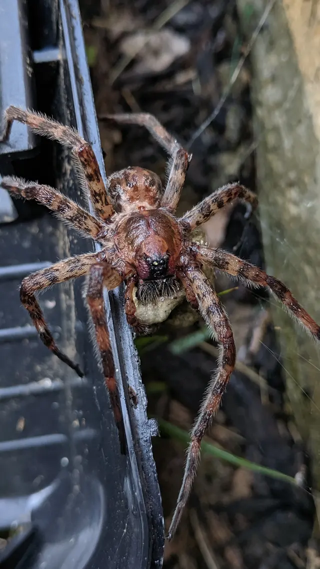 Rich's Pest Control — photo from the business 1