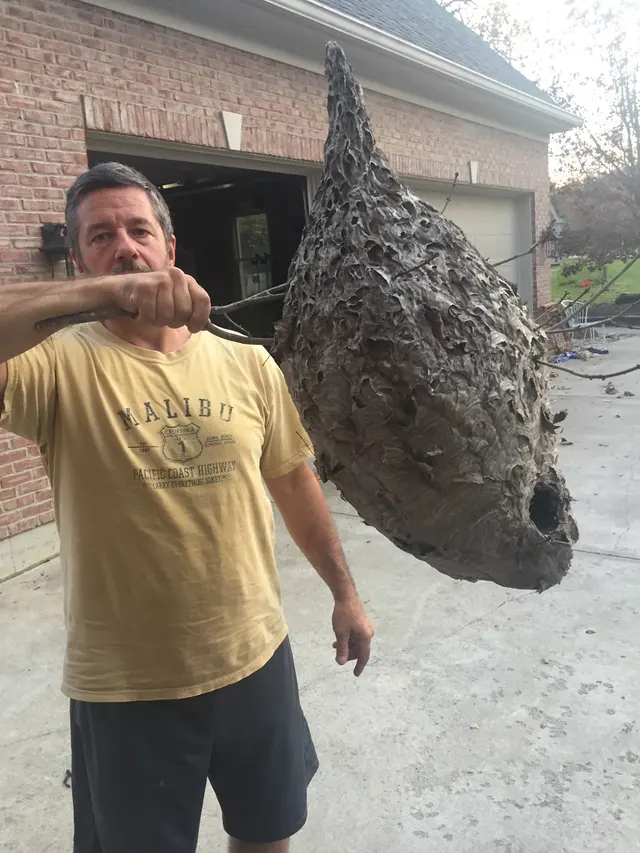 Rich's Pest Control — photo from the business 9