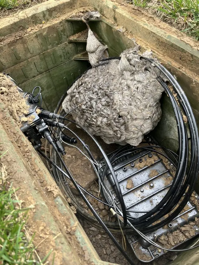 Rich's Pest Control — photo from the business 2