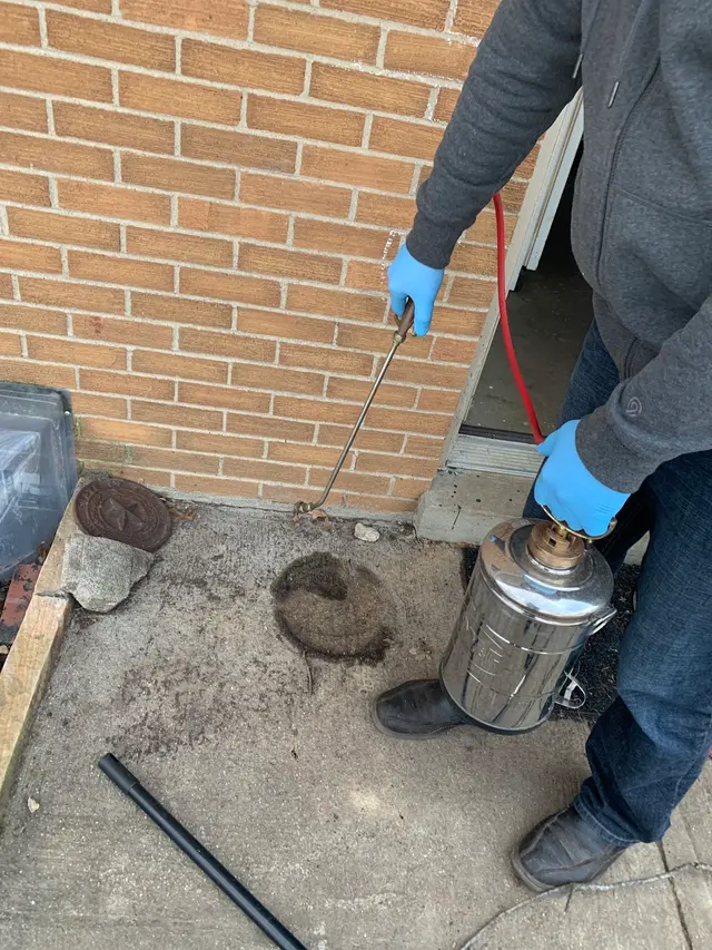 Far Hills Pest Control and Home Services — photo from the business 5