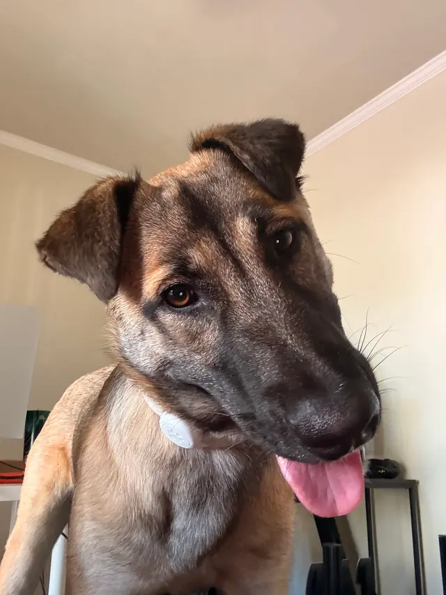 Peninsula Humane Society & SPCA Adoption Center — customer photo 2