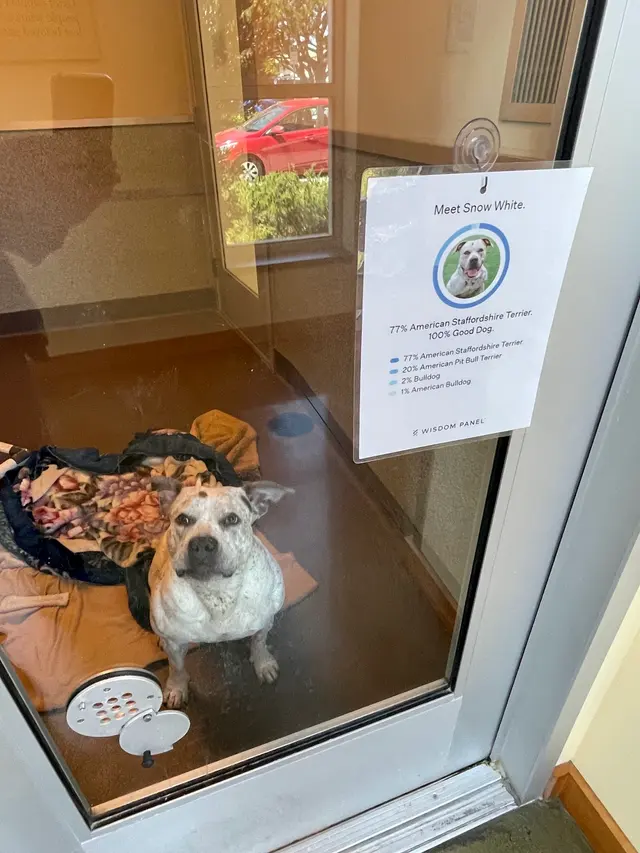 Peninsula Humane Society & SPCA Adoption Center — customer photo 5