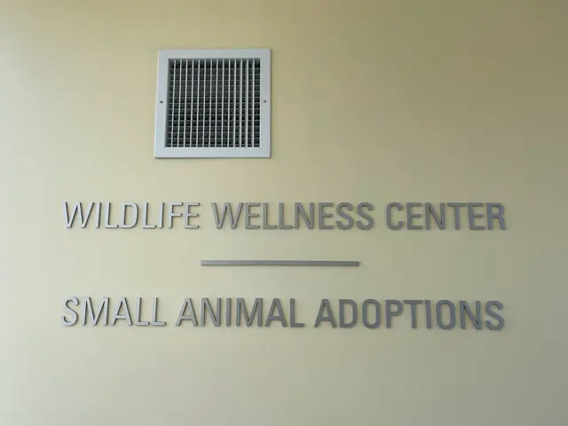 Peninsula Humane Society & SPCA Adoption Center — customer photo 4