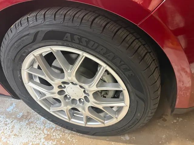 Customer photo from /'s review