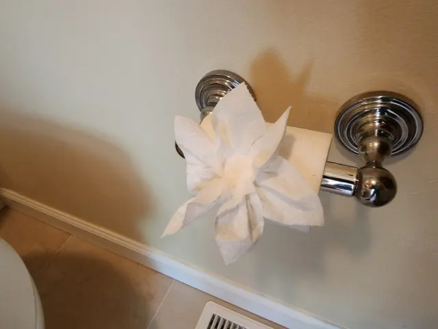 Mary's Cleaning Service CT — photo from the business 8