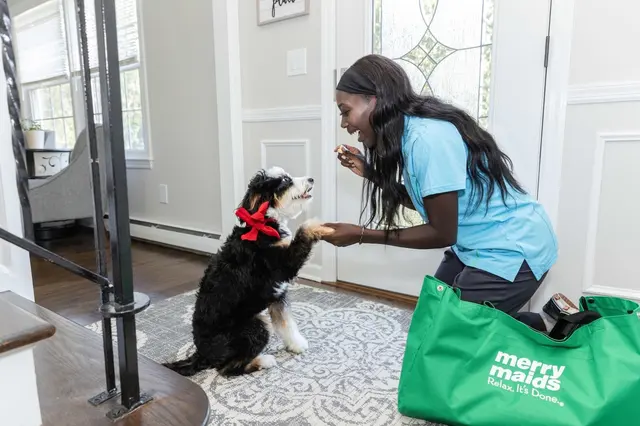 Merry Maids of Eastern Connecticut — photo from the business 7