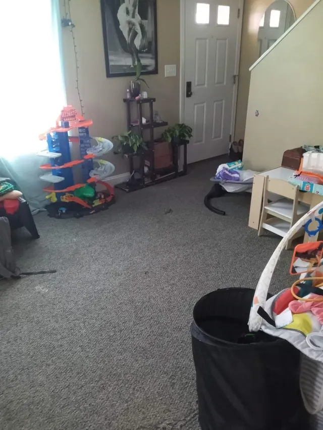 Westerly Housekeeping — customer photo 3