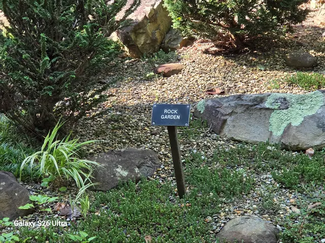 Tanger Family Bicentennial Garden — customer photo 12