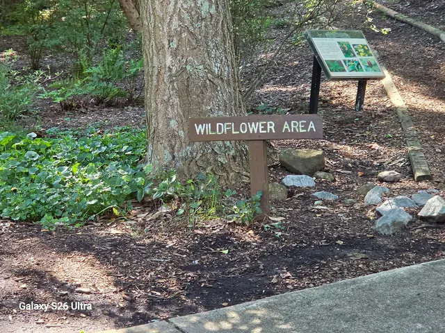 Tanger Family Bicentennial Garden — customer photo 9