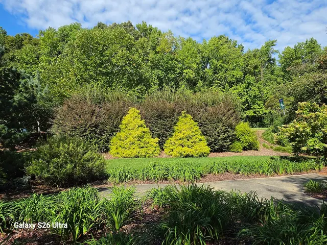 Tanger Family Bicentennial Garden — customer photo 10