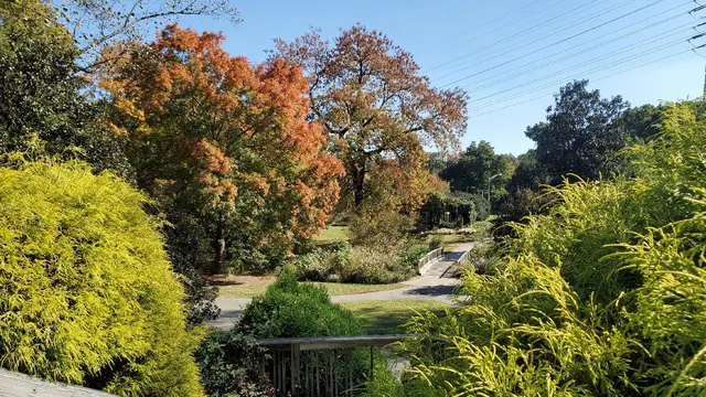Greensboro Arboretum — photo from the business 1