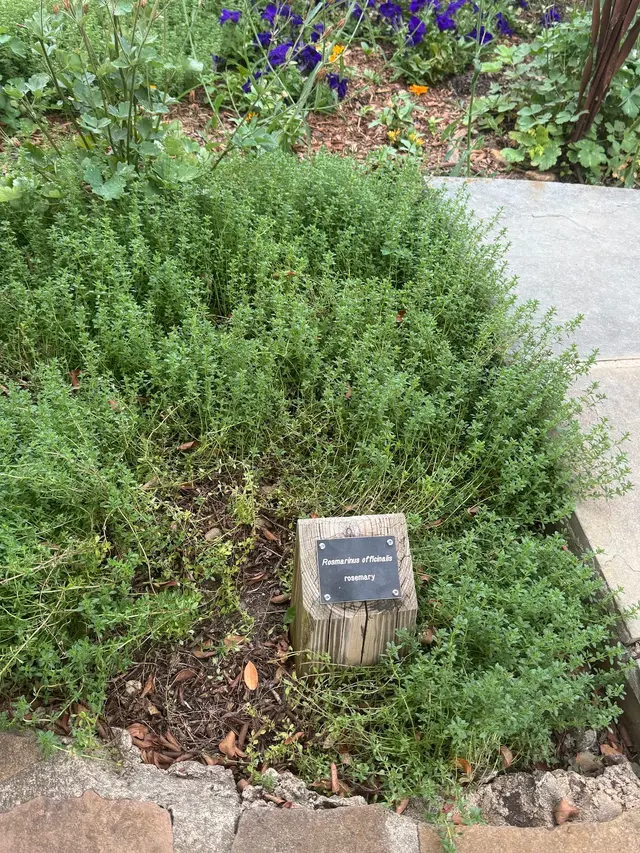 Greensboro Arboretum — customer photo 10