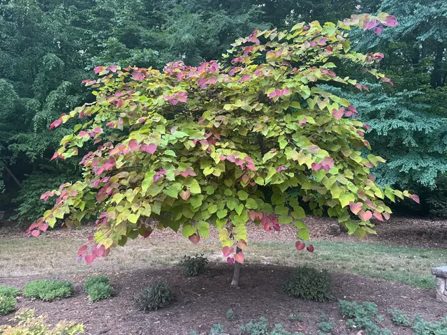 Greensboro Arboretum — customer photo 9