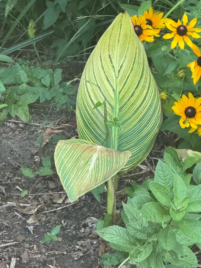 Greensboro Arboretum — customer photo 12
