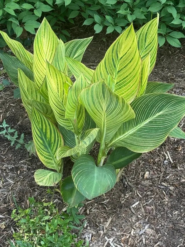 Customer photo of work by Greensboro Arboretum, from Western Wanderer!'s review