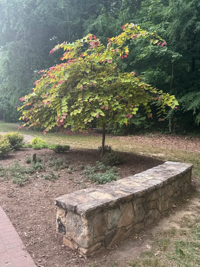 Greensboro Arboretum — customer photo 8