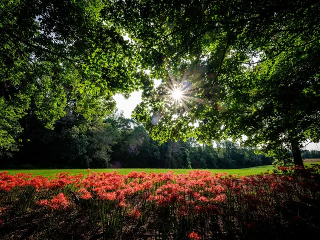 Reynolda House Museum of American Art — photo from the business 4