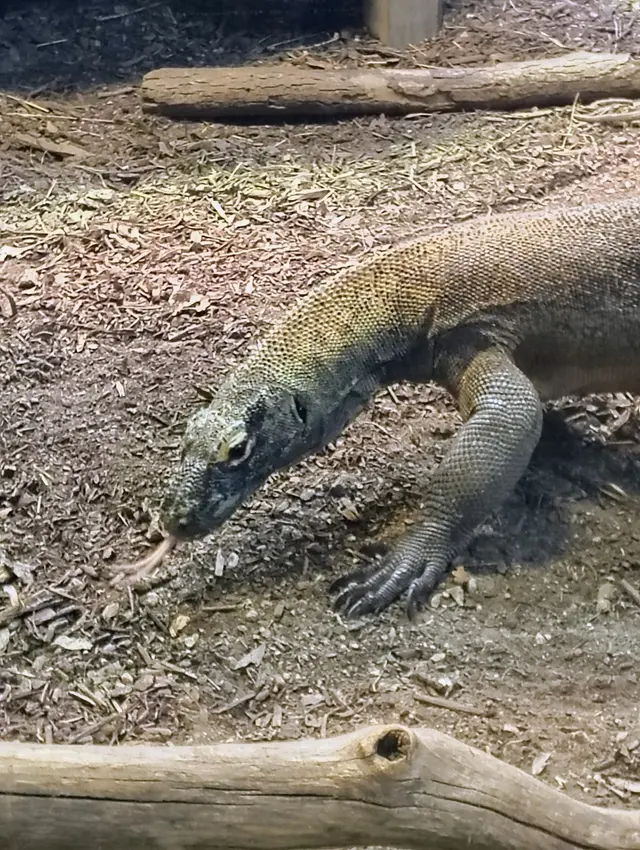 Greensboro Science Center — customer photo 7