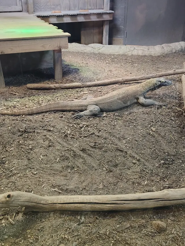 Greensboro Science Center — customer photo 5
