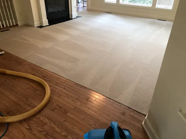 Xcellent Care carpet cleaning — photo from the business 4
