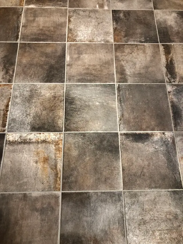 Xcellent Care carpet cleaning — photo from the business 3