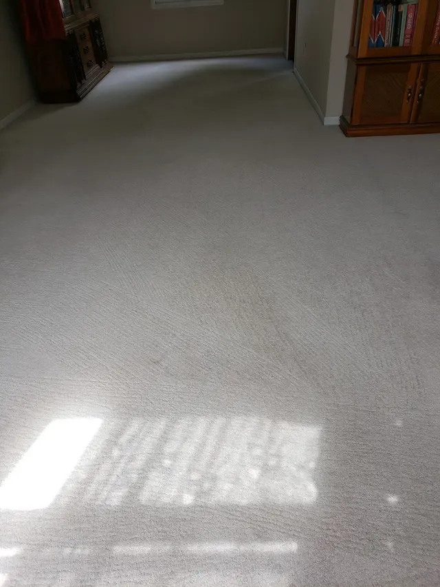 Xcellent Care carpet cleaning — customer photo 12