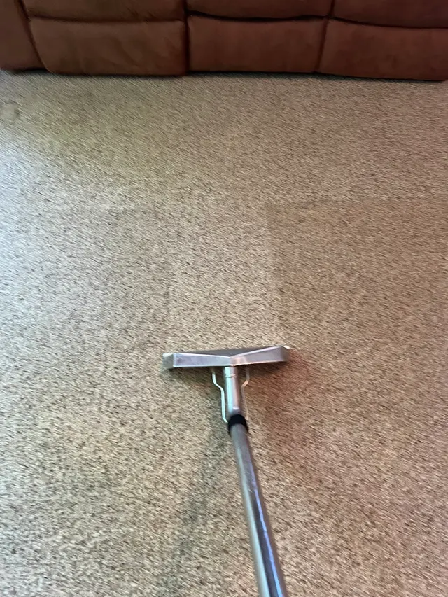 Xcellent Care carpet cleaning — photo from the business 8