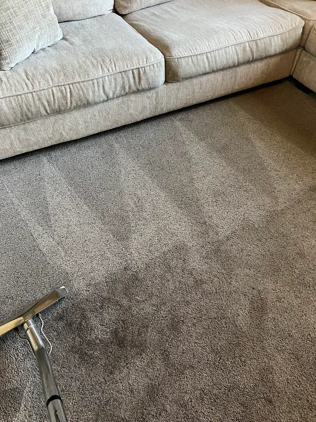 Xcellent Care carpet cleaning — photo from the business 2