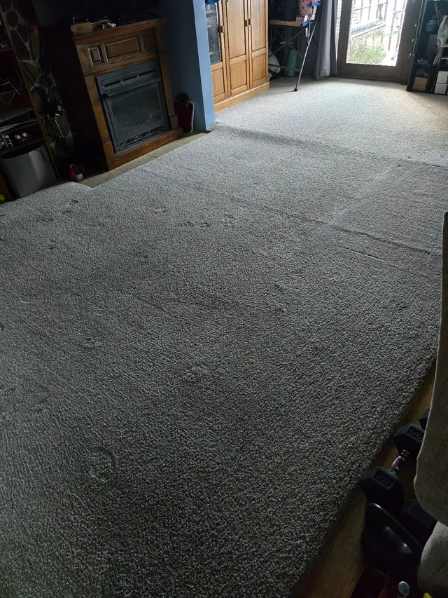 JBRS Carpet Cleaning & Restoration — customer photo 1