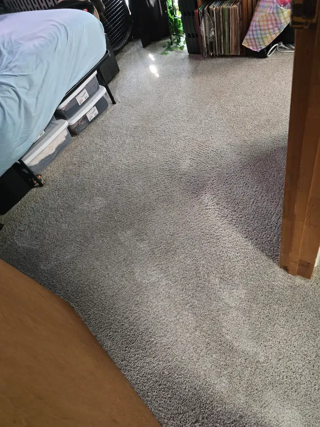 JBRS Carpet Cleaning & Restoration — customer photo 12